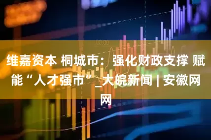 维嘉资本 桐城市：强化财政支撑 赋能“人才强市”_大皖新闻 | 安徽网