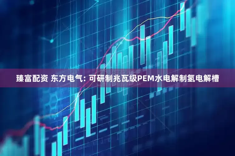 臻富配资 东方电气: 可研制兆瓦级PEM水电解制氢电解槽