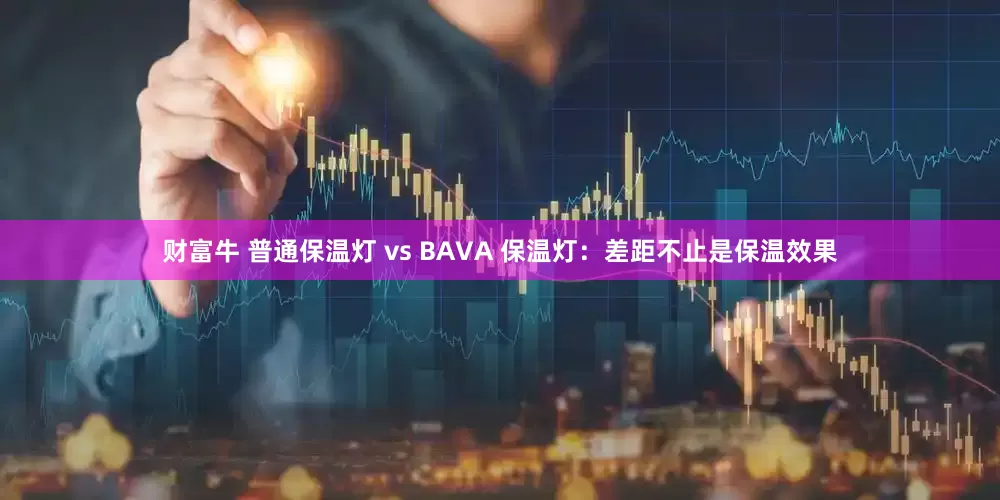 财富牛 普通保温灯 vs BAVA 保温灯：差距不止是保温效果