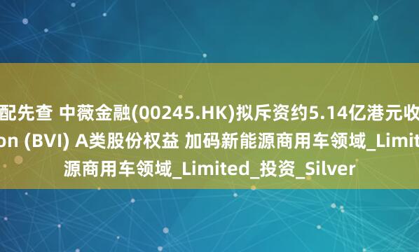 配先查 中薇金融(00245.HK)拟斥资约5.14亿港元收购Wisdom Moon (BVI) A类股份权益 加码新能源商用车领域_Limited_投资_Silver